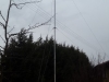 RH antenna árbóc